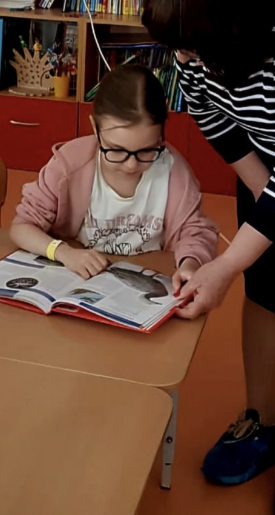 img (2)